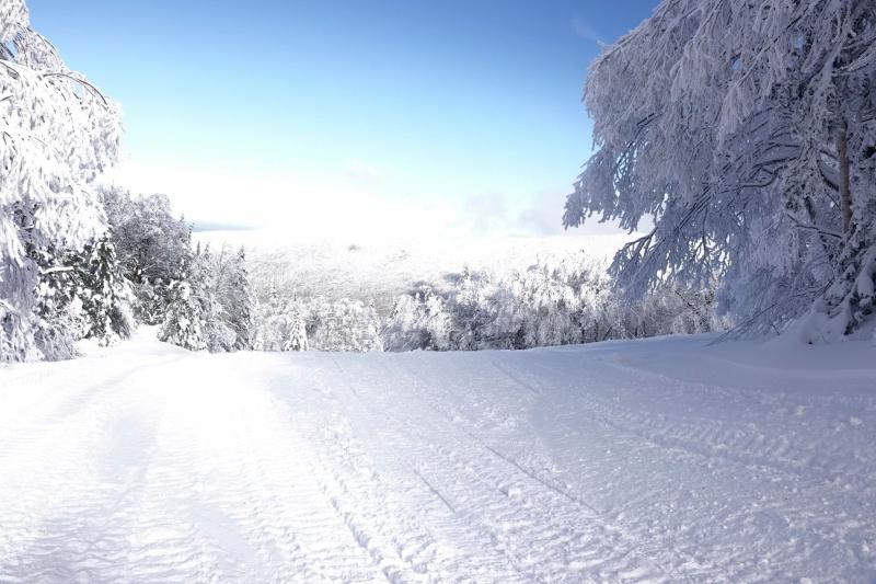 Mont Sutton - Découvrez quelques nouveautés pour la saison 2025-2026 Mont Sutton - Découvrez quelques nouveautés pour la saison 2025-2026