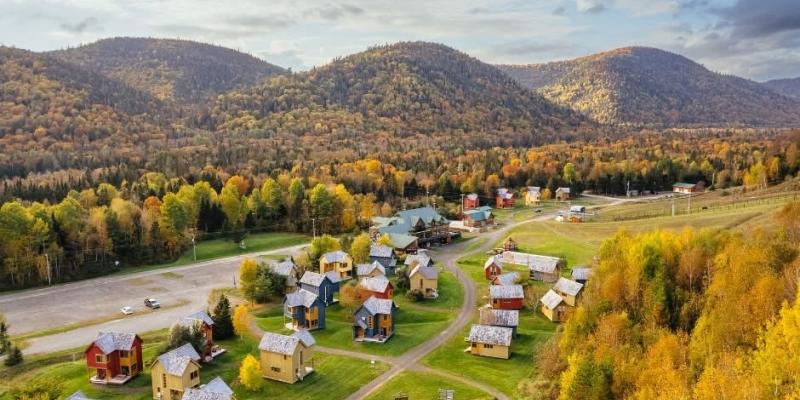Une escapade en nature avec votre fidèle compagnon